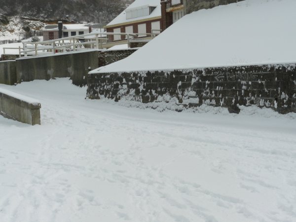 06012010 041.jpg